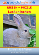 Riesenpuzzle_Luxkaninchen.pdf